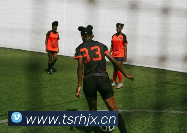 ayx游戏登录发展历程